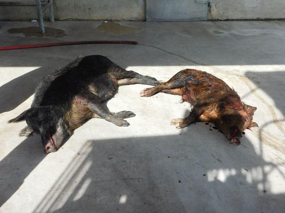 Outwest Farms-奥基乔比必去景点