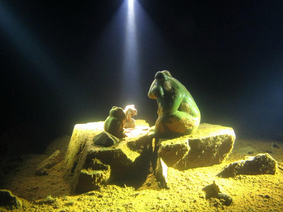 Oulun Sukelluskeskus-奥卢必去景点