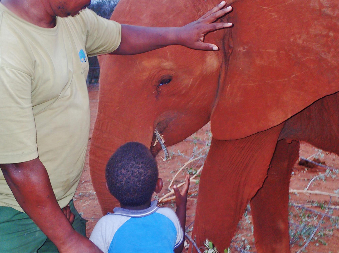 Sau Tsavo Camp