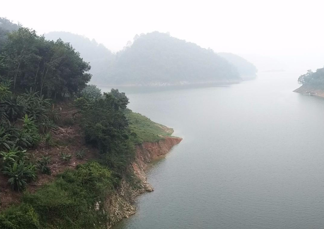 Hala-Bala Wildlife Sanctuary景点图片