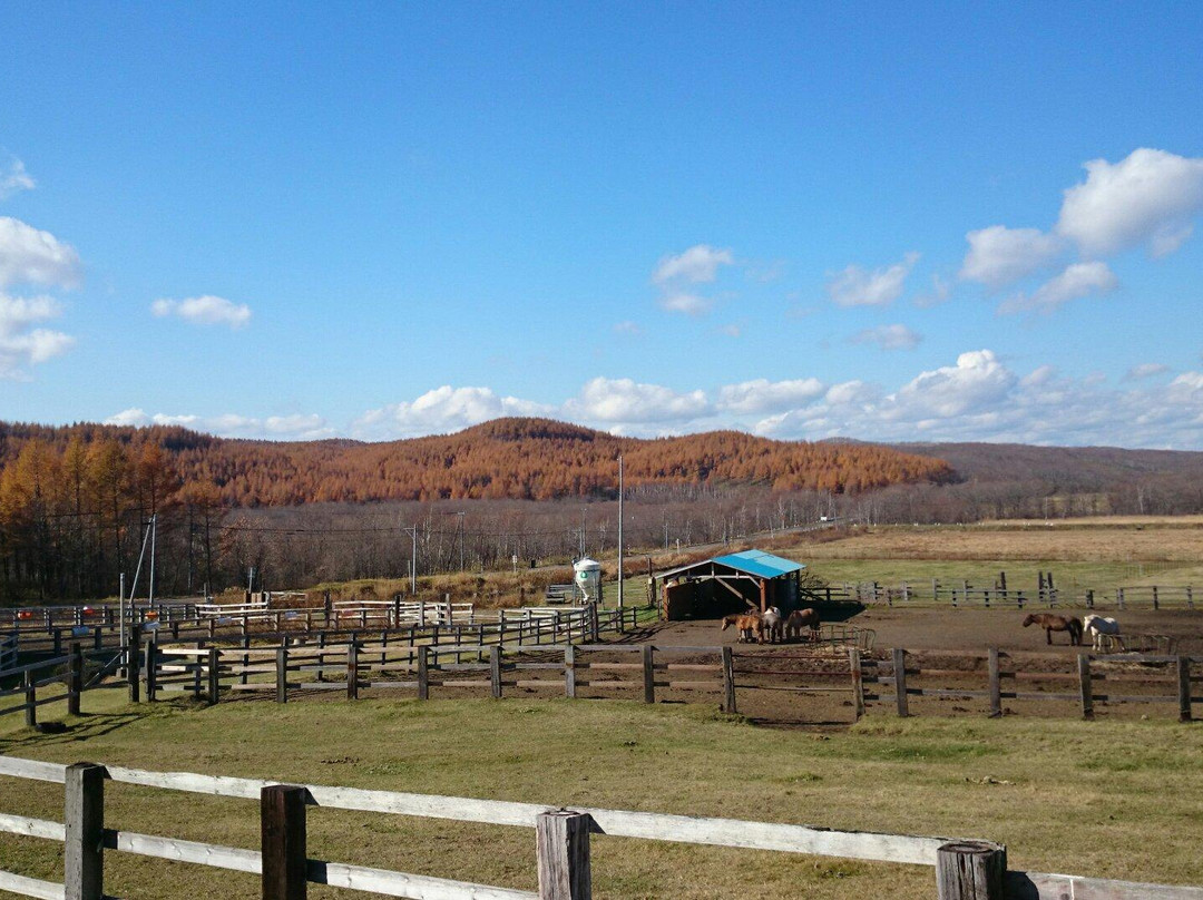 Tsurui Dosanko Farm-鹤居村必去景点