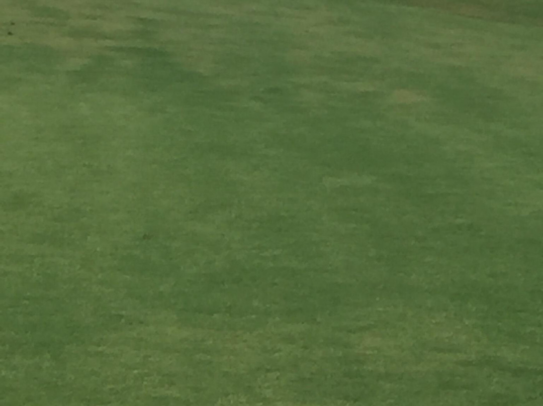 Pacific Dunes Golf Club景点图片