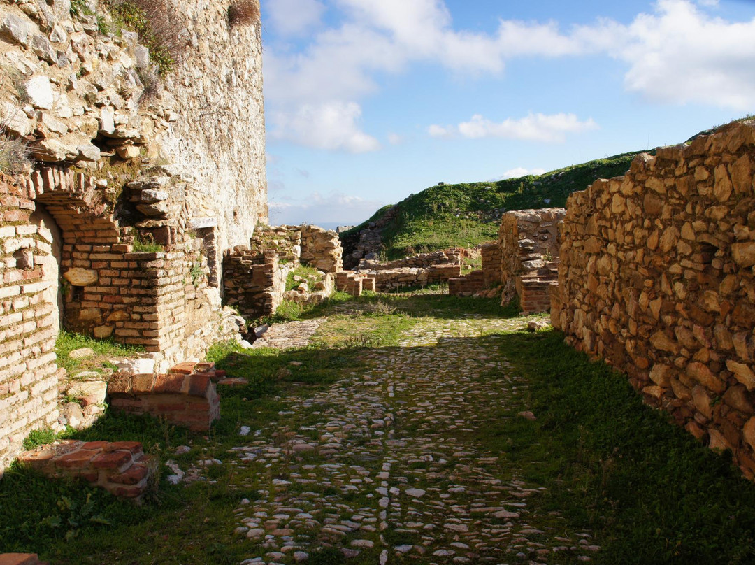 Alcazaba de Reina景点图片