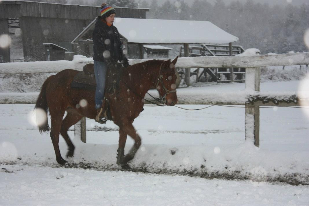 La Ferme Cabriole-Papineauville必去景点