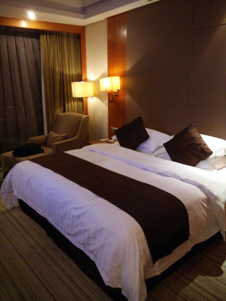 两淮豪生大酒店-客卧