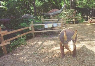 The Rock, Fossil, and Dinosaur Shop-南迪尔菲尔德必去景点