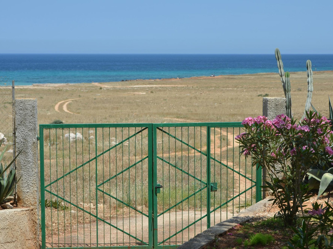 L'Oasi Una Pineta Sul Mare