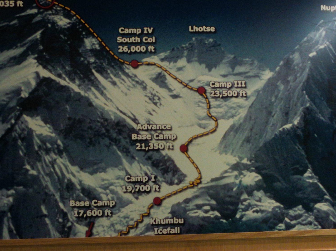 艾伯塔省体育名人堂和博物馆-红鹿市必去景点