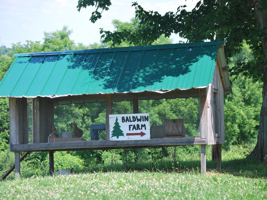 Baldwin Farms-里士满必去景点