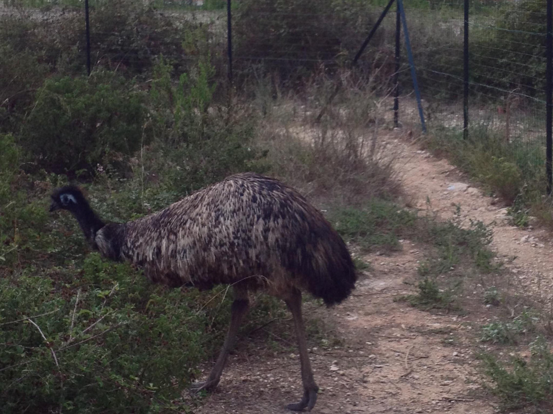 Museo di Storia Naturale del Salento-Calimera必去景点