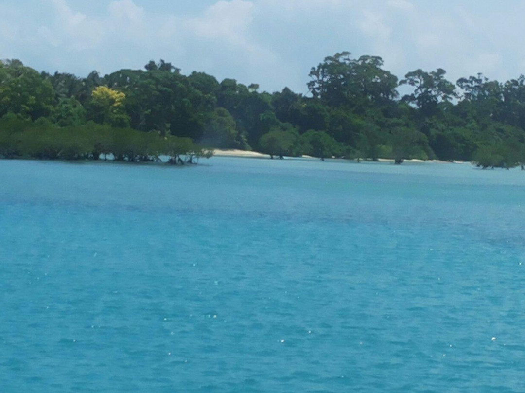 Neil Island Jetty景点图片