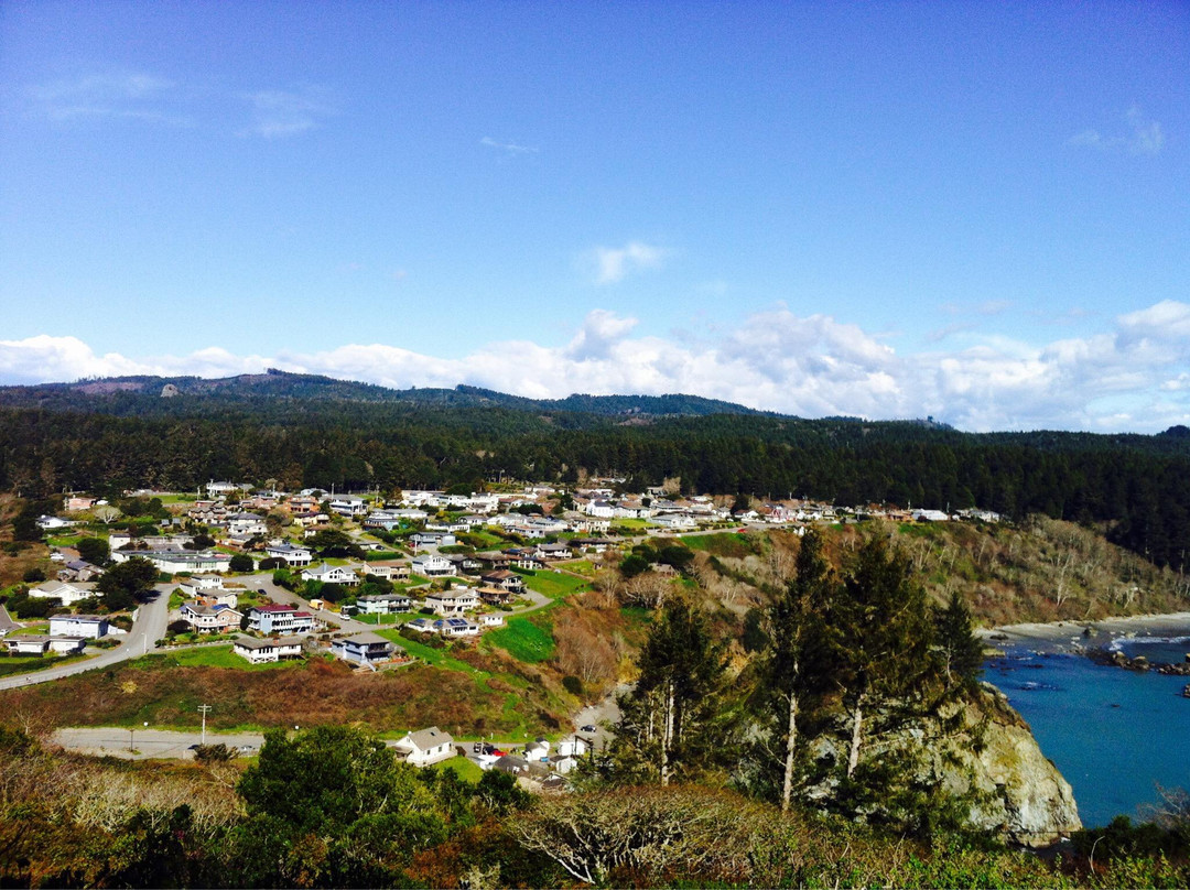 Trinidad State Beach景点图片