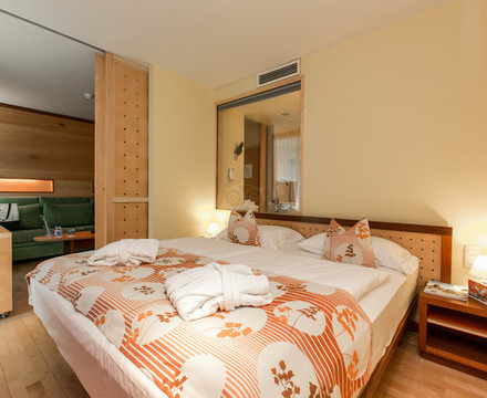 阿德瑞安纳法肯斯特诺酒店 - 限成人主图