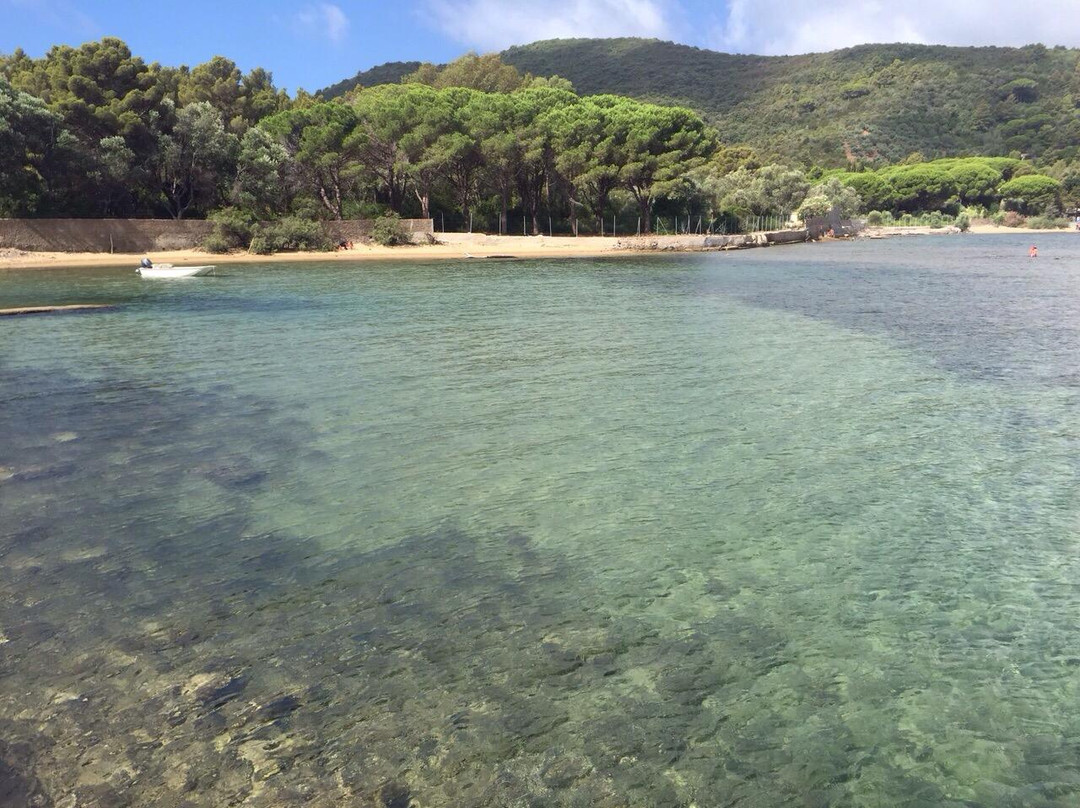 Spiaggia di Galenzana景点图片