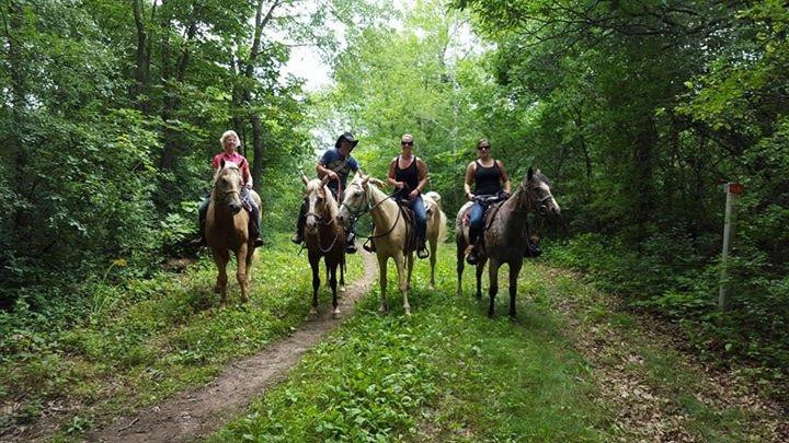 Wild 3L Ranch-Eagle必去景点