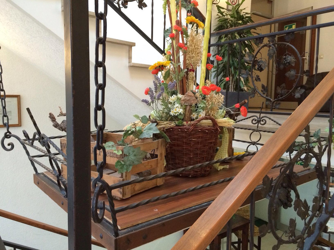 Hotel am Hechenberg主图