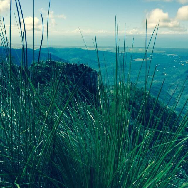 Paluma and Crystal Creek Rainforest-Paluma必去景点