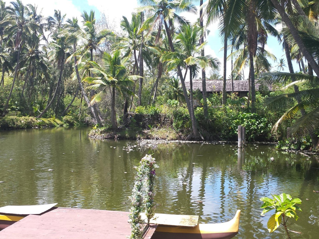 Coco Palms Tours-卡帕阿必去景点