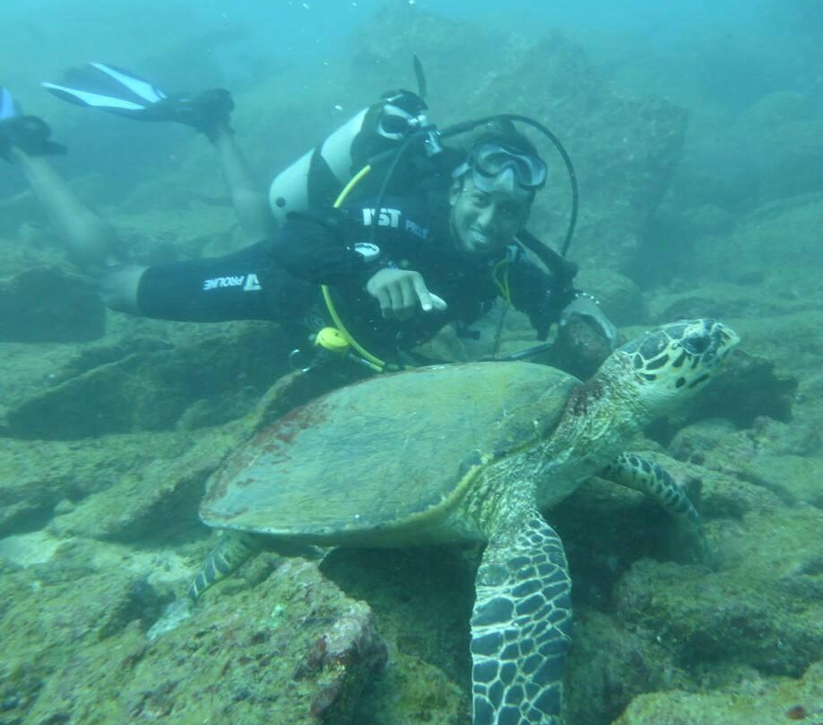 Angel Diving-Trincomalee必去景点