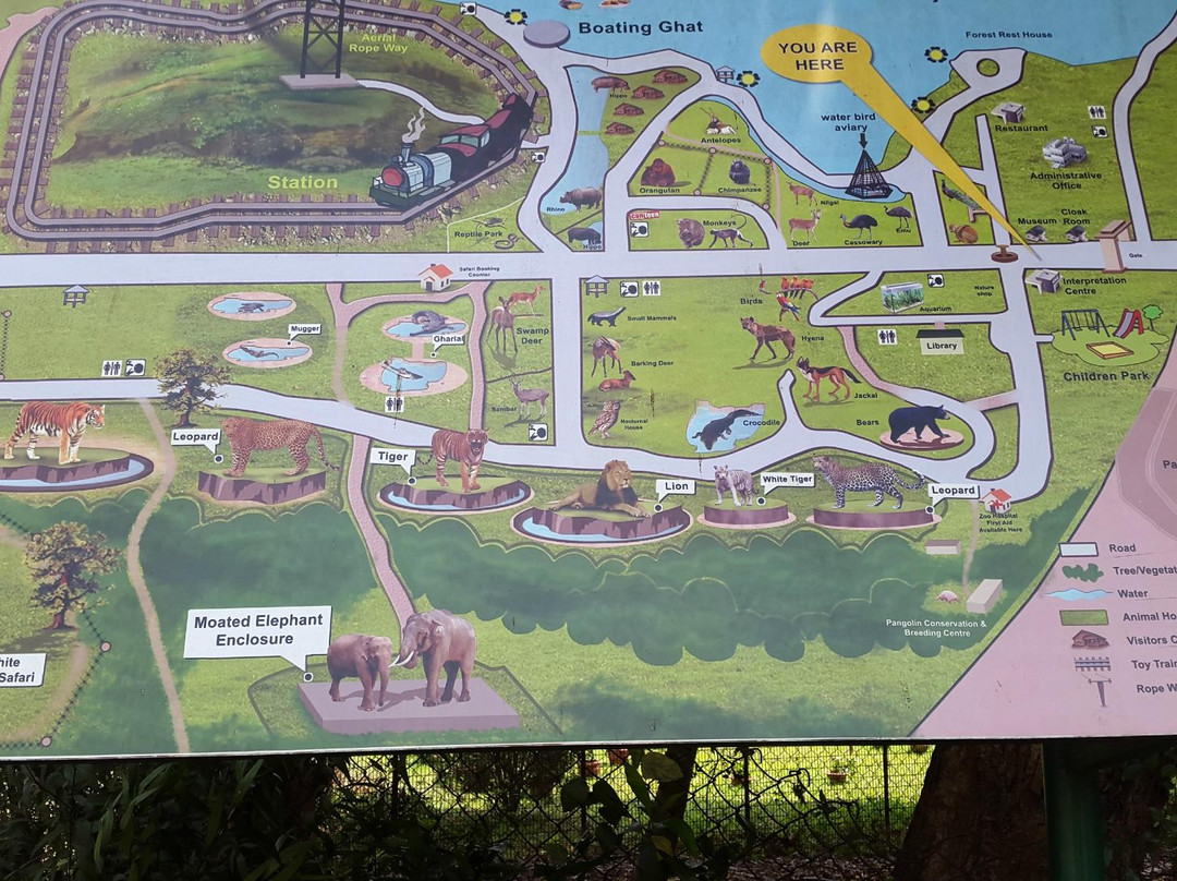 Nandankanan Zoological Park景点图片