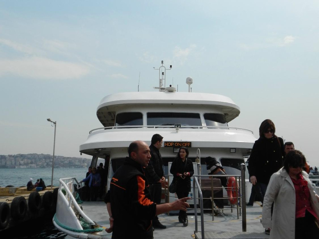Hop in Hop Off Boat Tour-伊斯坦布尔必去景点