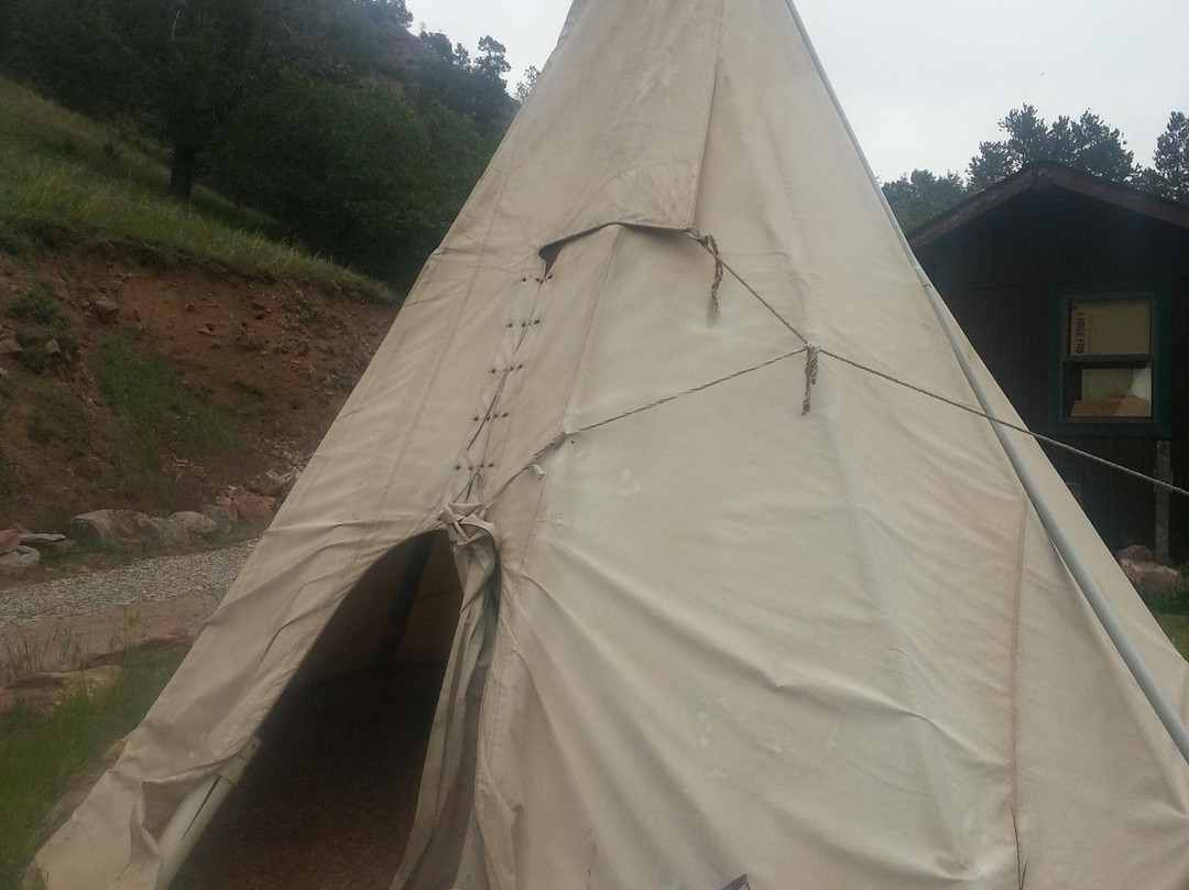 Ami's Acres Camping