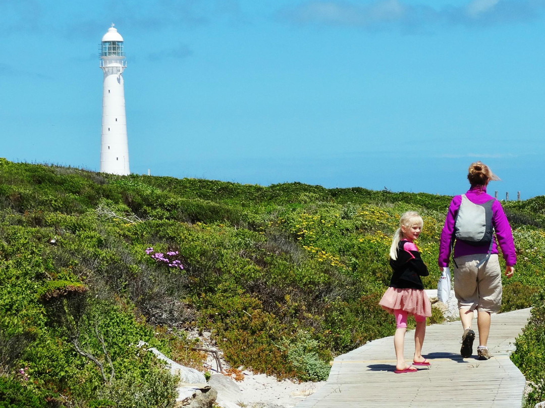 Cape Town Hiking with Tim Lundy -  Tours-Kenilworth必去景点