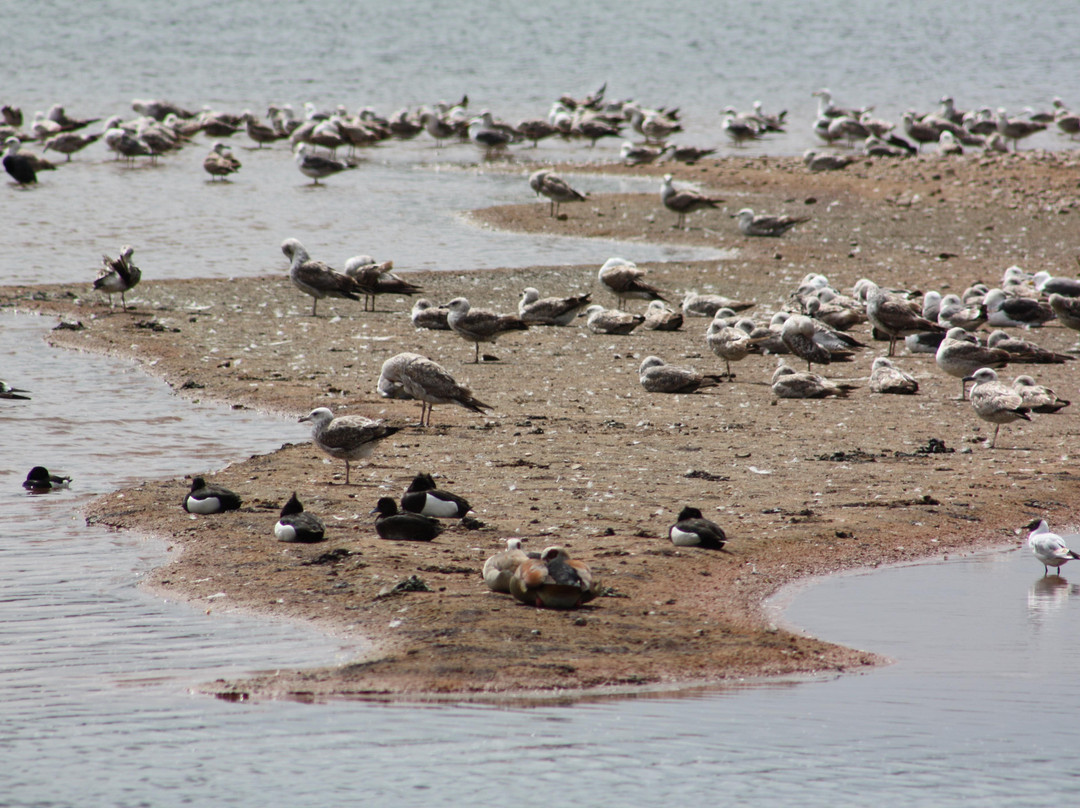 Idle Valley Nature Reserve景点图片