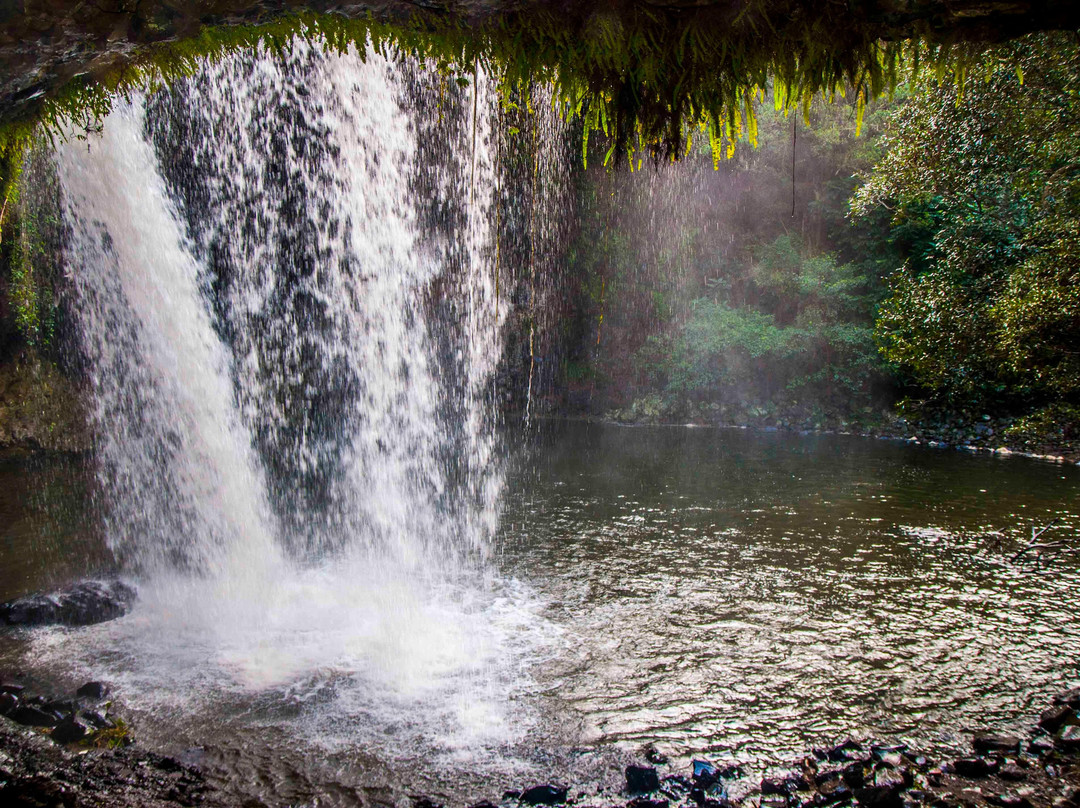 Killen Falls景点图片