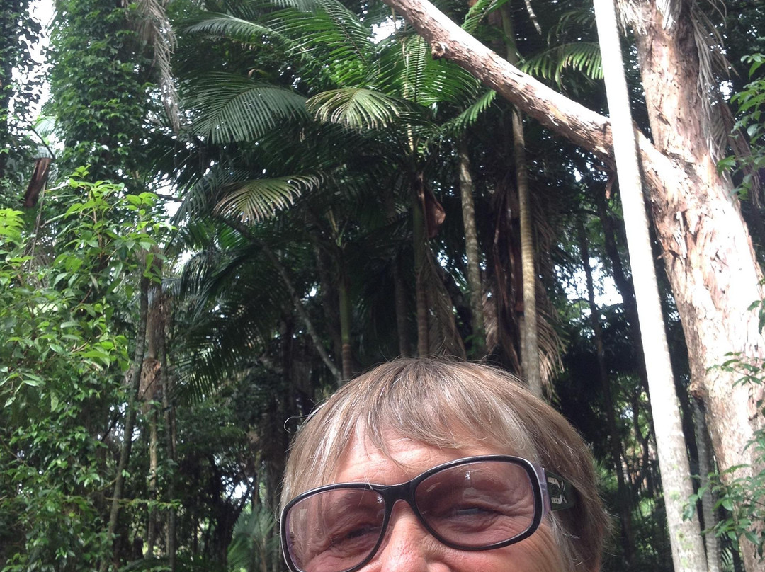 Sea Acres Rainforest Centre Port Macquarie-麦克夸利港必去景点