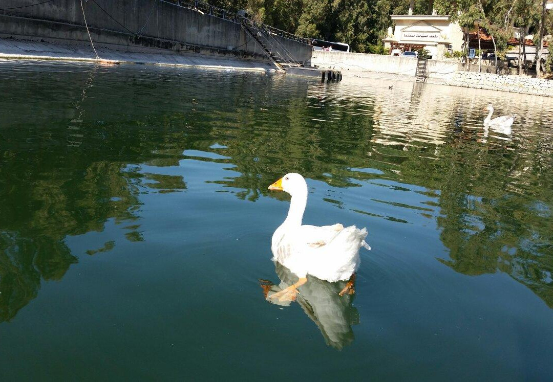 Bnachii Lake景点图片