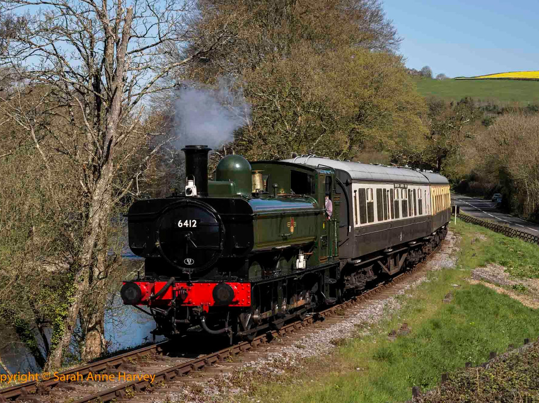 South Devon Railway景点图片