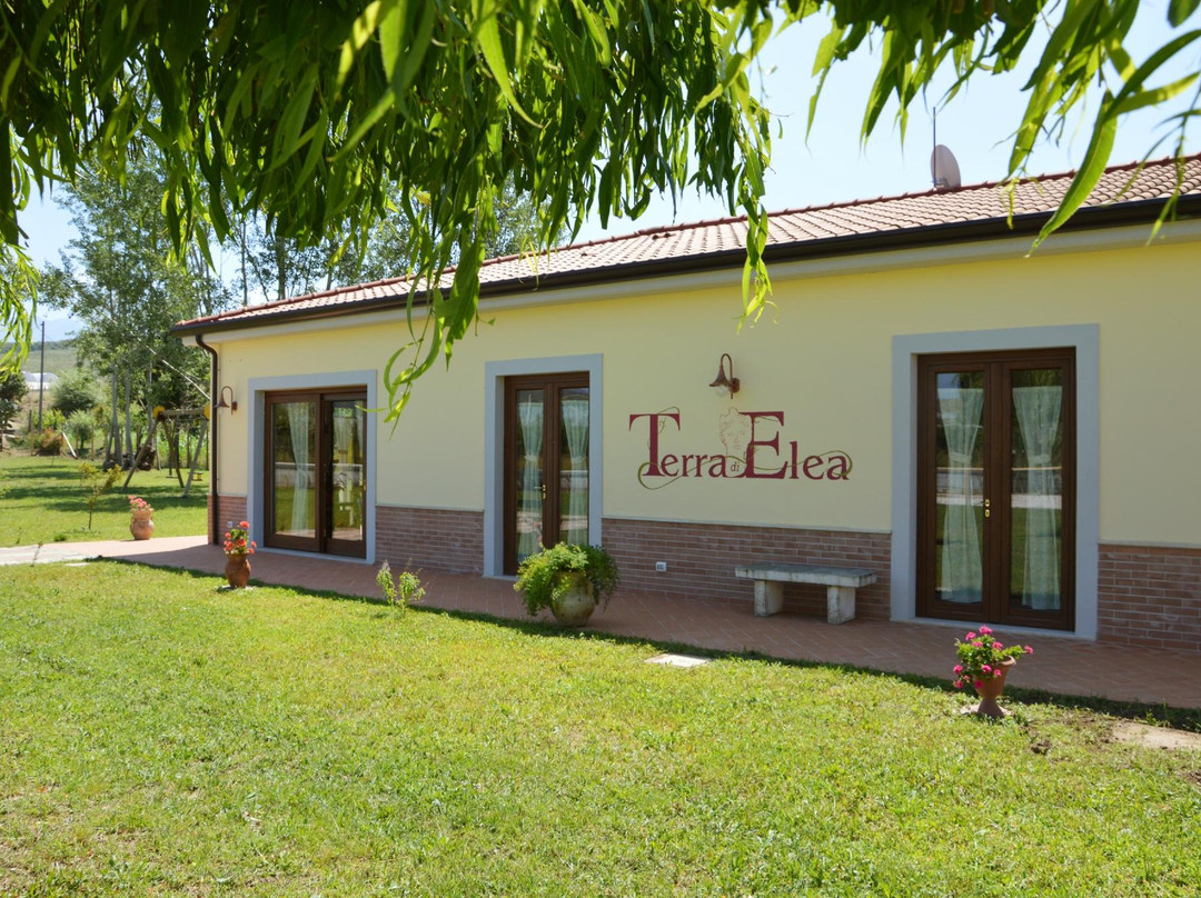 Agriturismo Terra di Elea Azienda Agricola di Raimondo MIchela