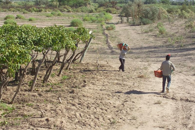 Tittarelli Wines景点图片