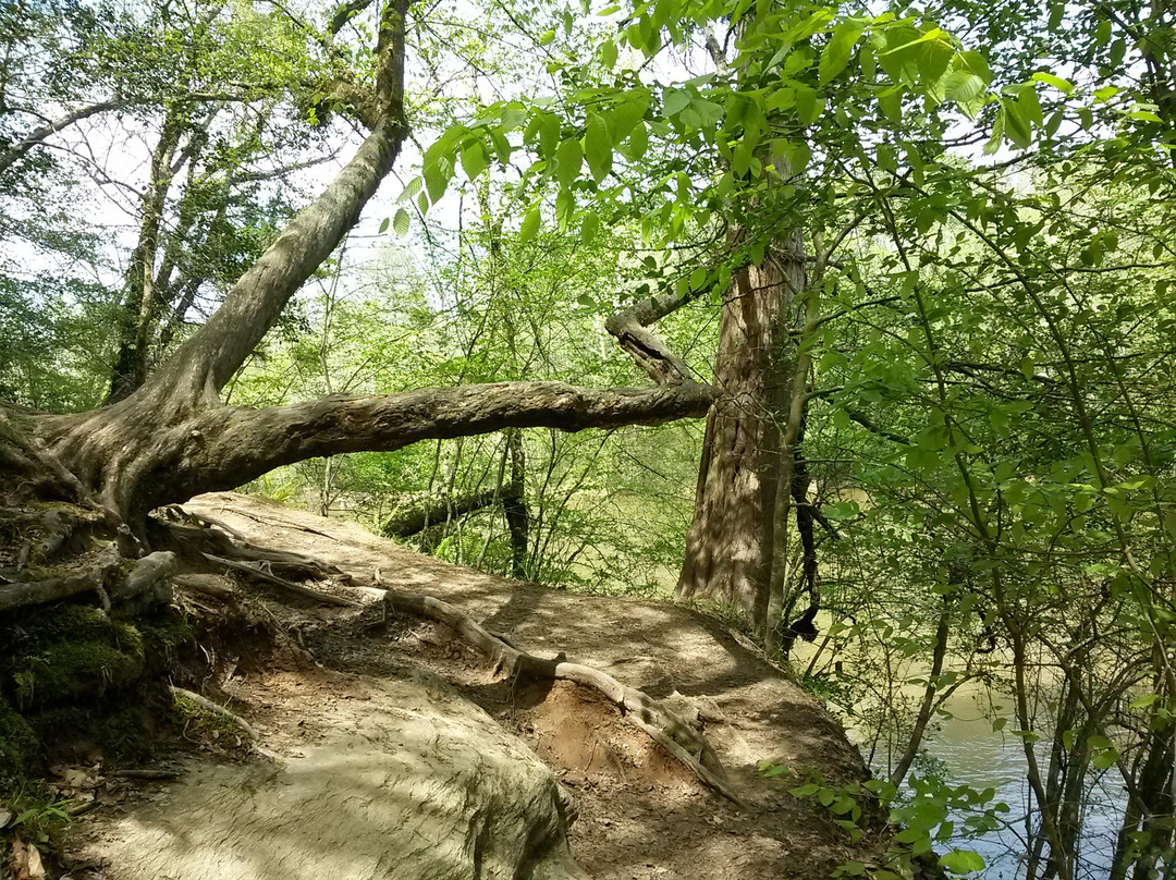 Raven Rock State Park-Lillington必去景点
