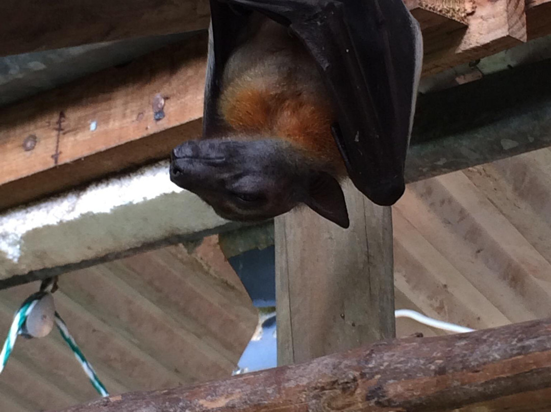 Exotic Animal World-Klapmuts必去景点