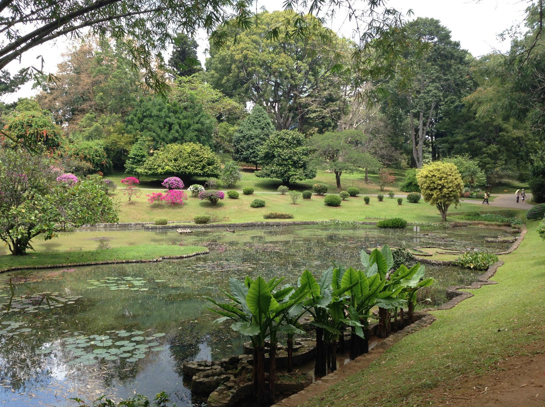 Colour Lanka Tours景点图片