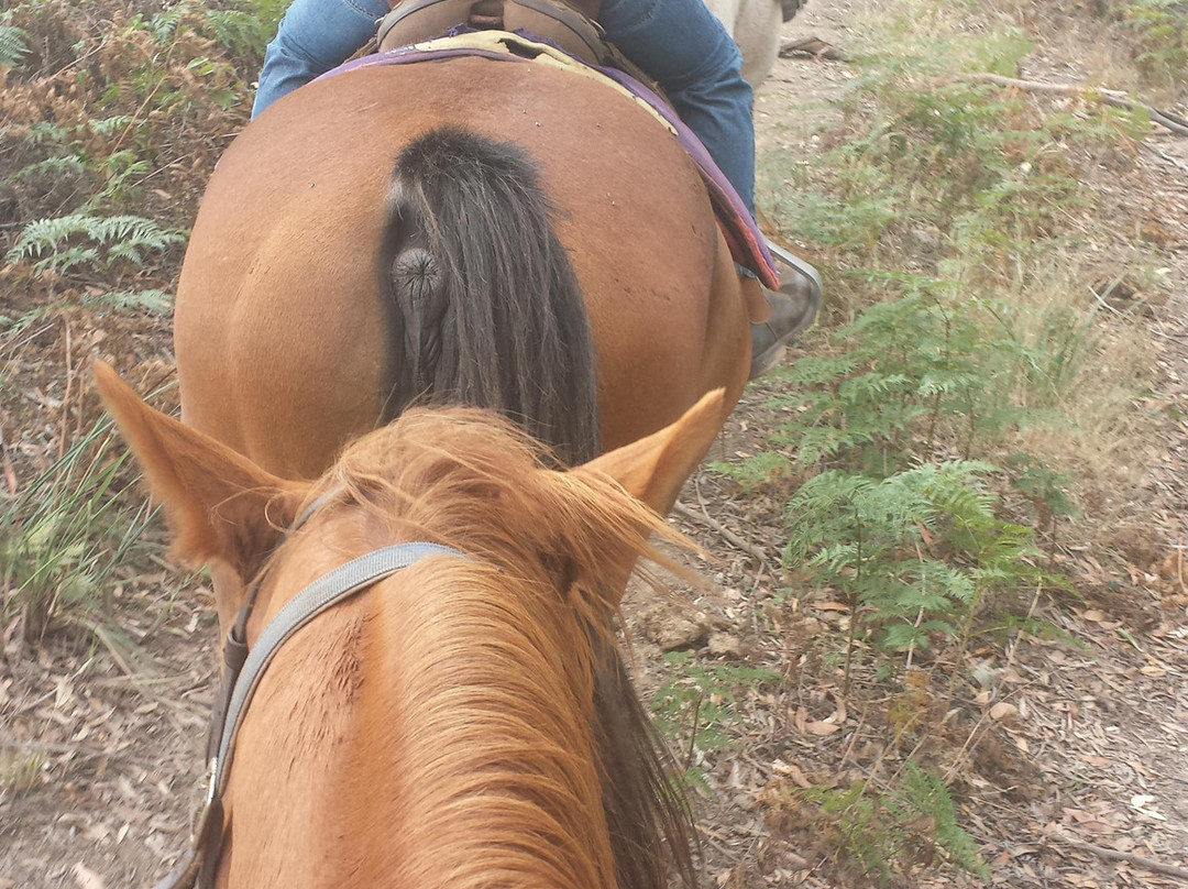 Hepburn Lagoon - Trail Rides-Hepburn Springs必去景点