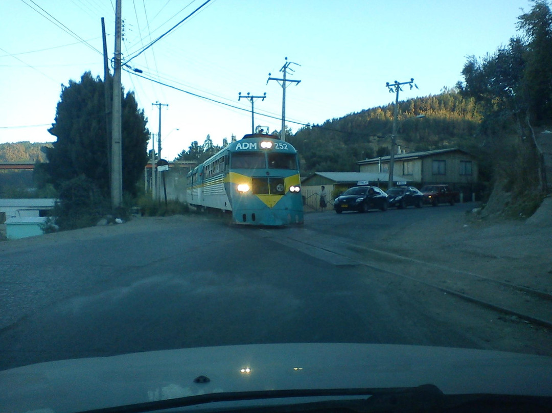 Ramal Talca - Constitucion - Train-Constitucion必去景点