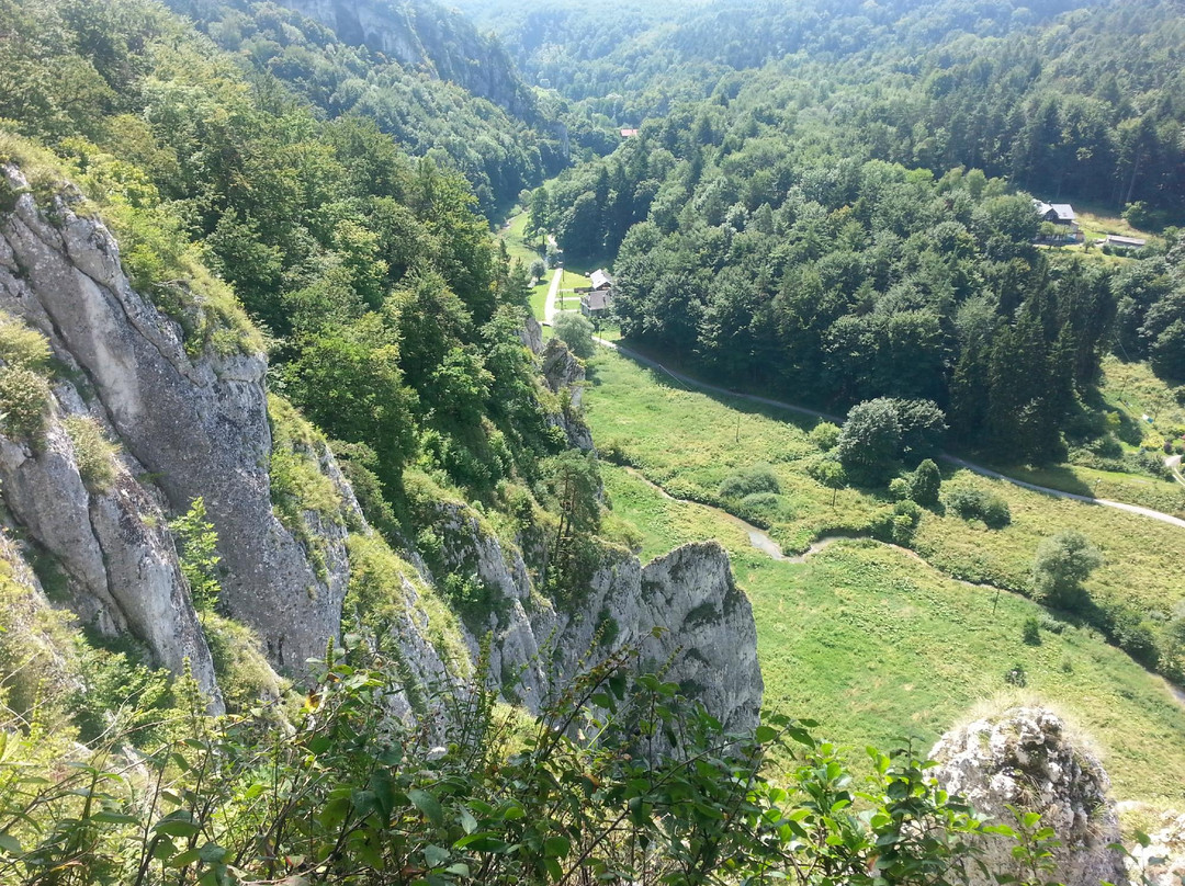 Jaskinia Ciemna (Dark Cave)景点图片