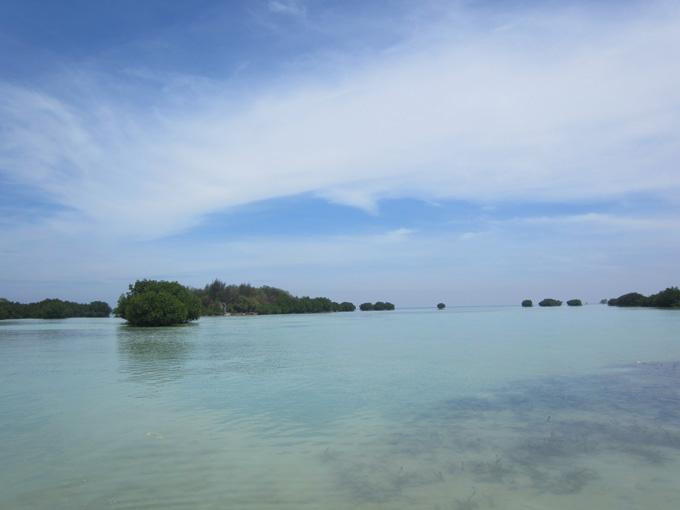 Pari Island景点图片