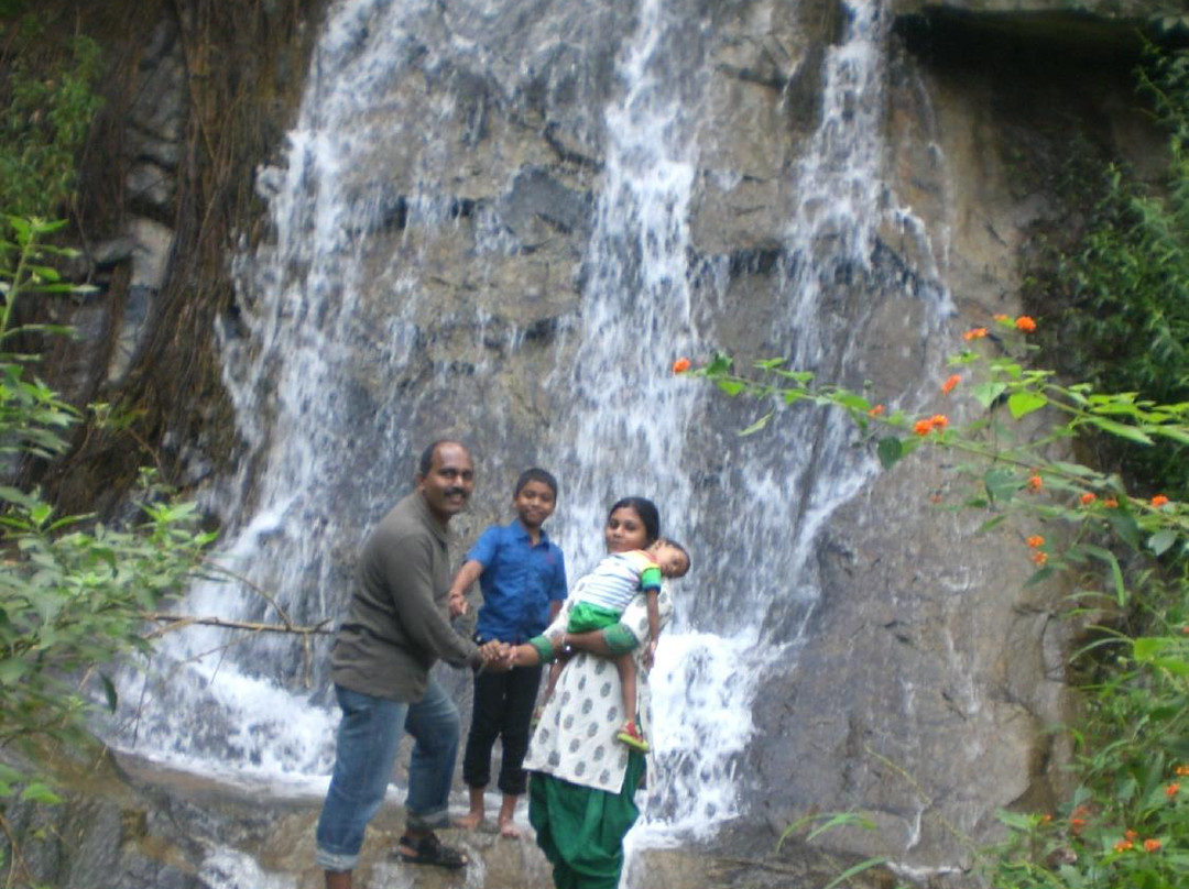 Attapadi Reserve Forest-Palakkad必去景点