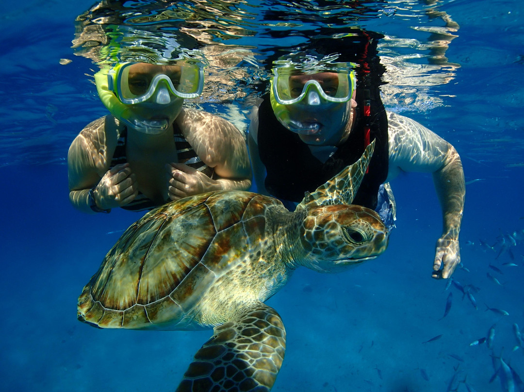 Cliff Sharker-奥伊斯廷斯必去景点