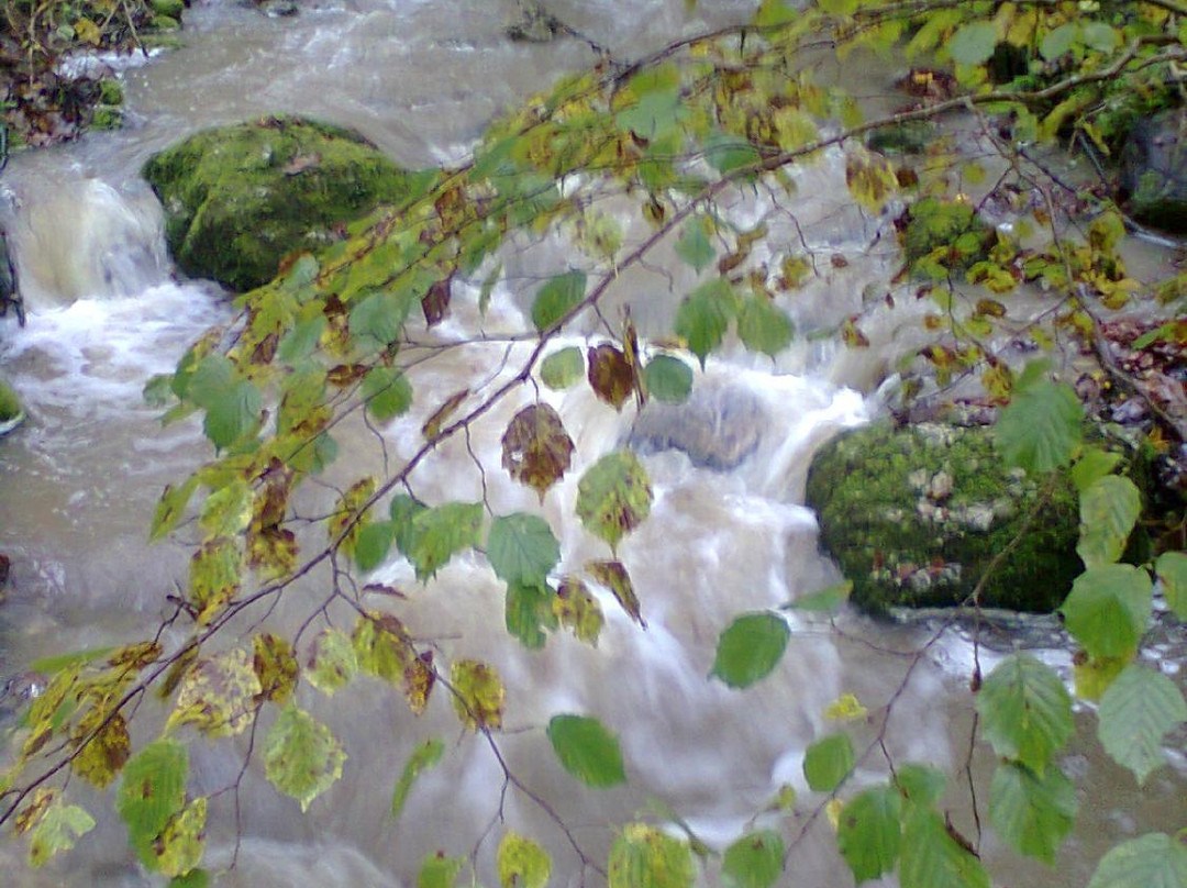 Couvet旅游景点-Cascade de Môtiers