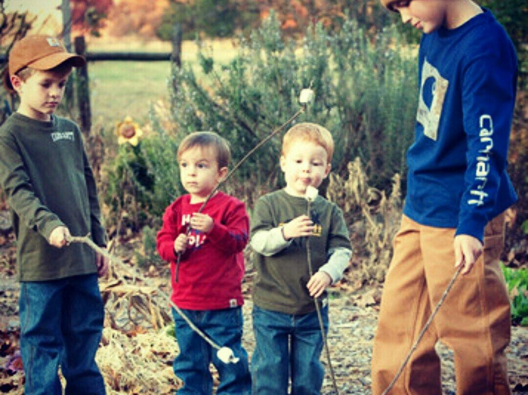 Pioneer Supply-韦恩斯维尔必去景点