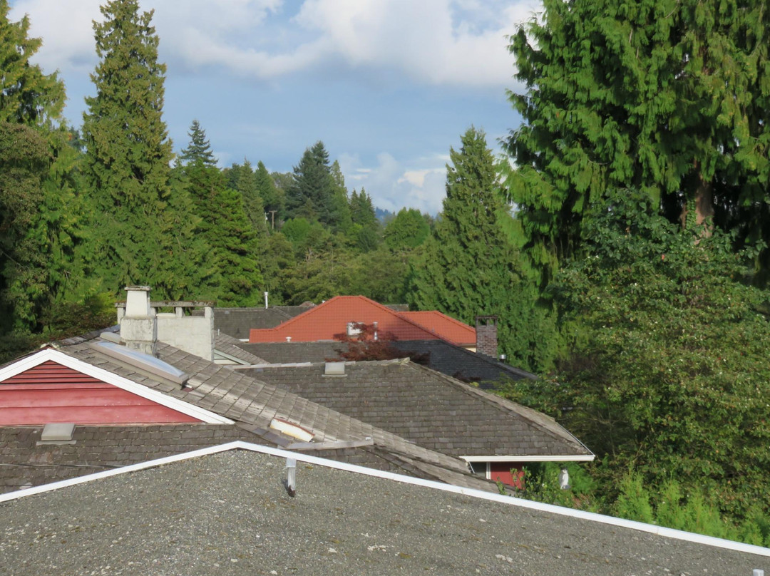 Alice s Guest House B & B主图