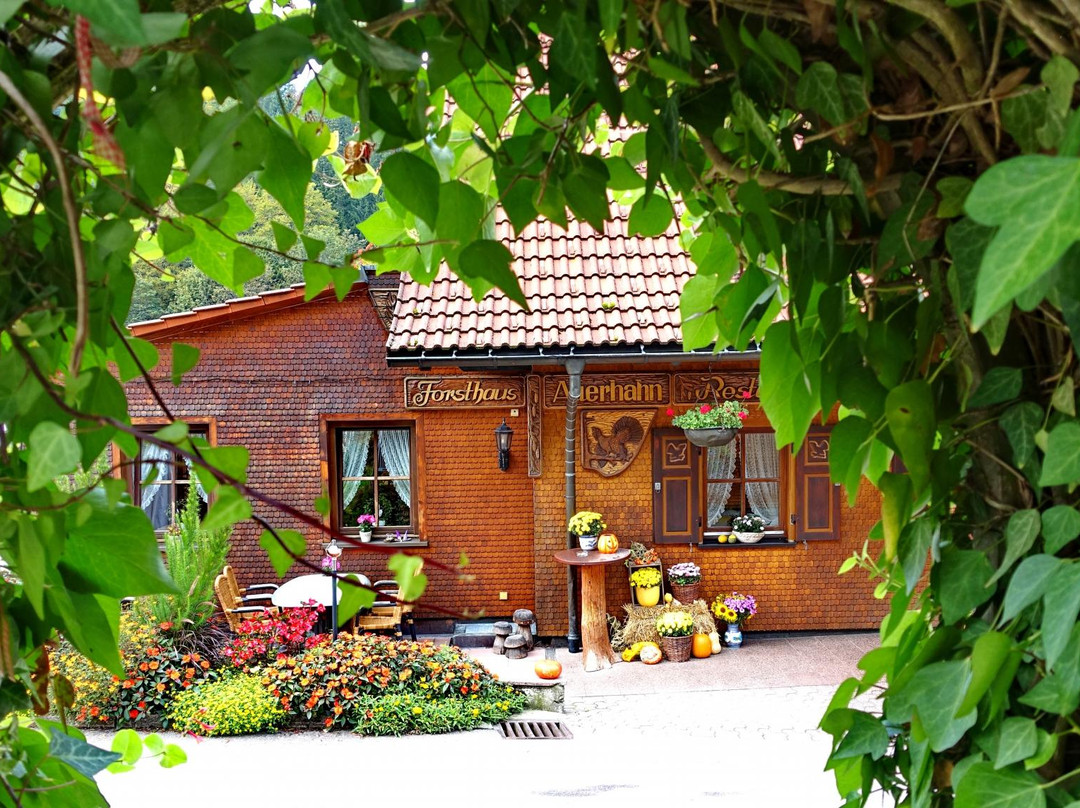 Restaurant-Cafe Forsthaus Auerhahn