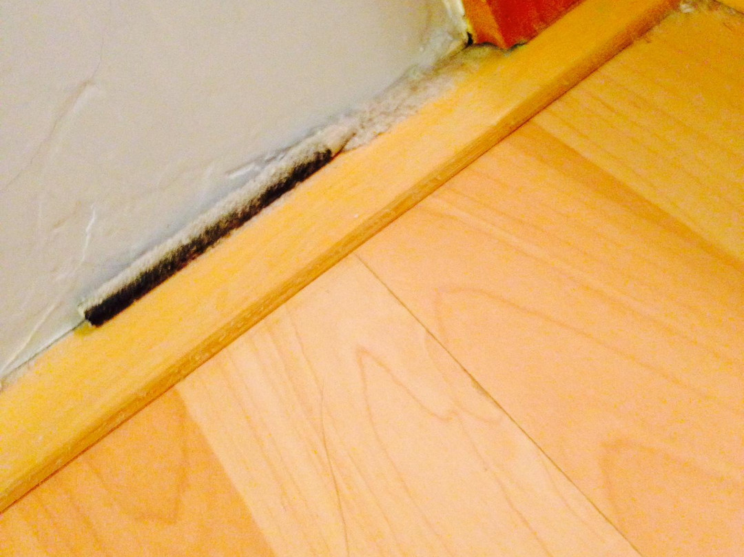 青青世界酒店主图