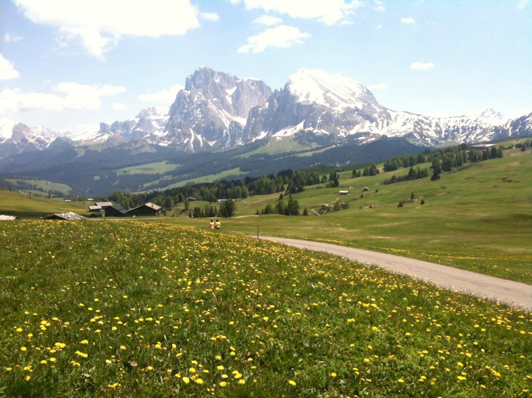 Funivia Ortisei Alpe Di Siusi景点图片