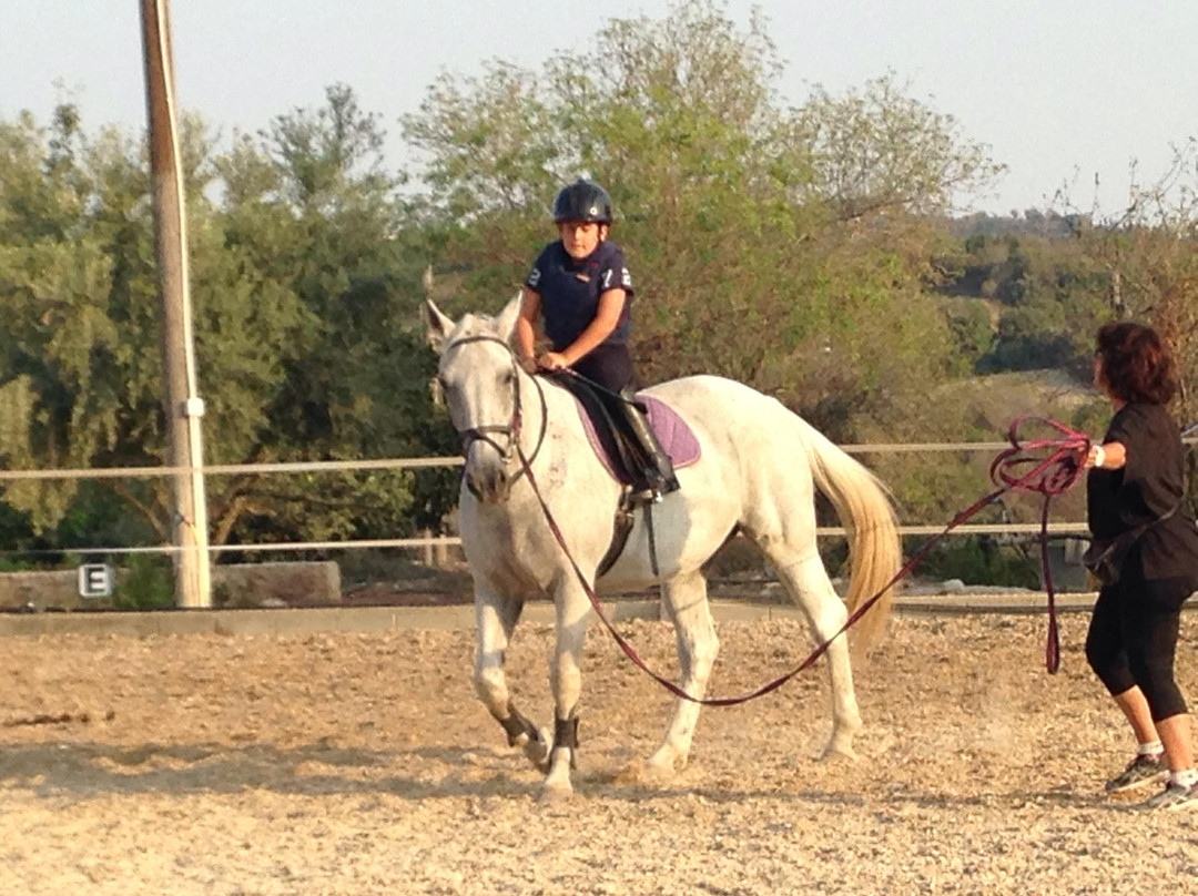 Amargeti Equestrian Club-Amargeti必去景点